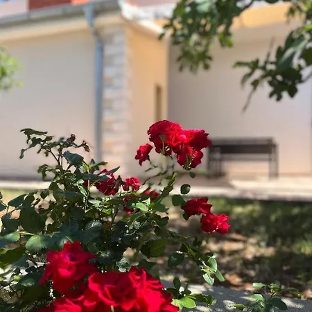 Apartmani Anita Zaboric Exterior photo